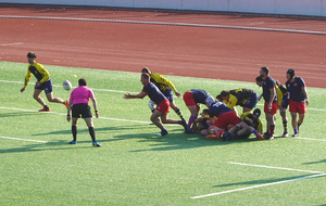 68ed8884b7fe0_DSC019981red.jpg